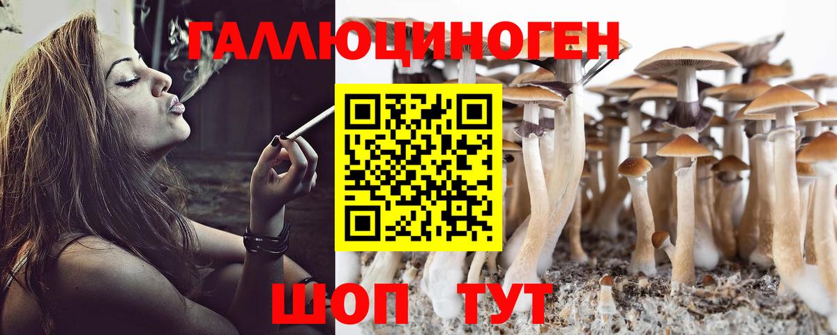 Псилоцибиновые грибы Psilocybine cubensis  Вход с VPN  Псилоцибиновые грибы Psilocybe  Хасавюрт 