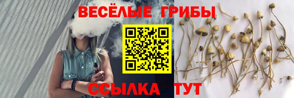 Псилоцибиновые грибы ЛСД Хасавюрт